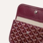 Goyard Saint Louis PM Bag Stripes and Lnitials - Image 5